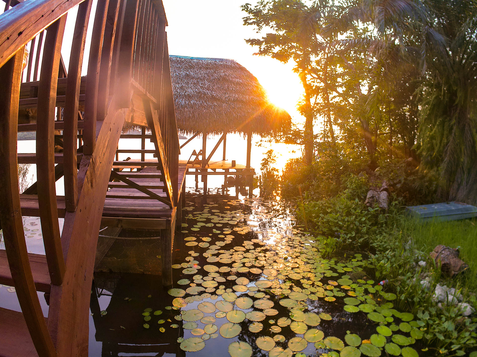 Hammock in the River Palapa