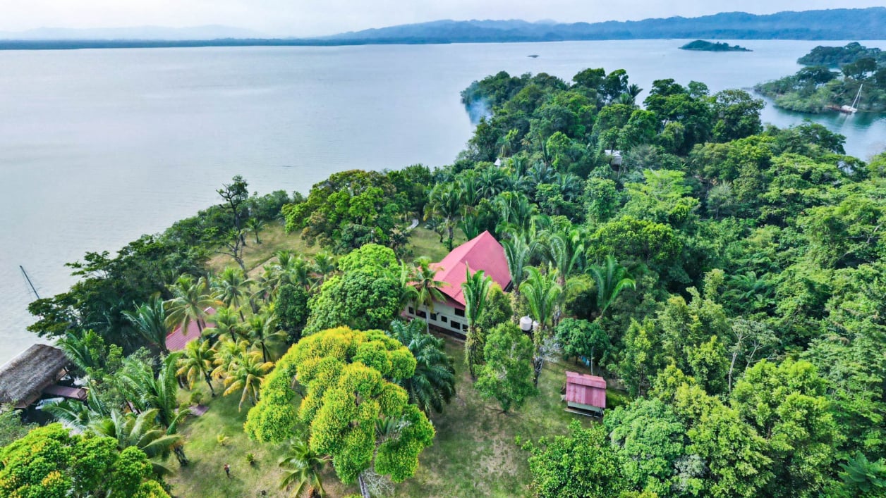 Birds View of MangoLand